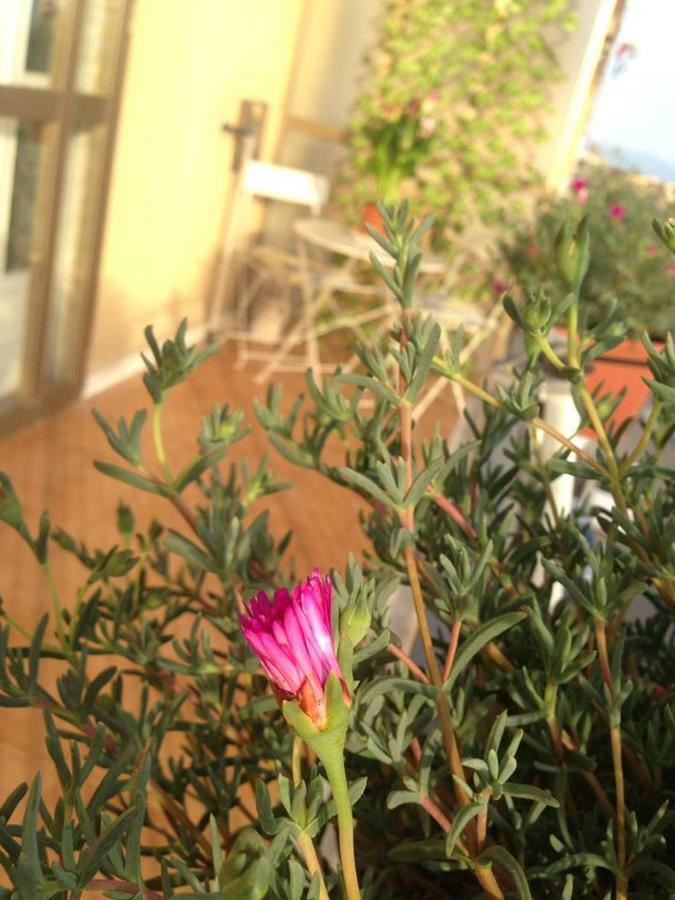 Leucosia Bed & Breakfast Salerno Zewnętrze zdjęcie